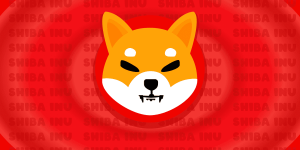 Shiba Inu Burn Rate Increases